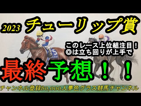 【最終予想】2023チューリップ賞！このレース上位馬に注目！本命は競馬センスに大きな武器あり！ペリファーニア大外枠の評価は？