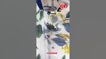 Sewing Tools And Tutorial New roller free folding presser foot Part 06