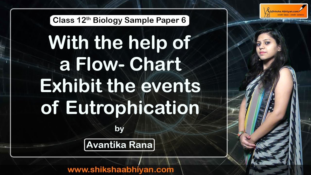 Eutrophication Flow Chart