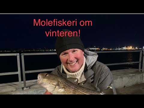 Video: Hvad Er Den Bedste Måde At Fiske Om Vinteren