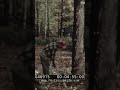 Tree Farm: From Tree to Paper process
