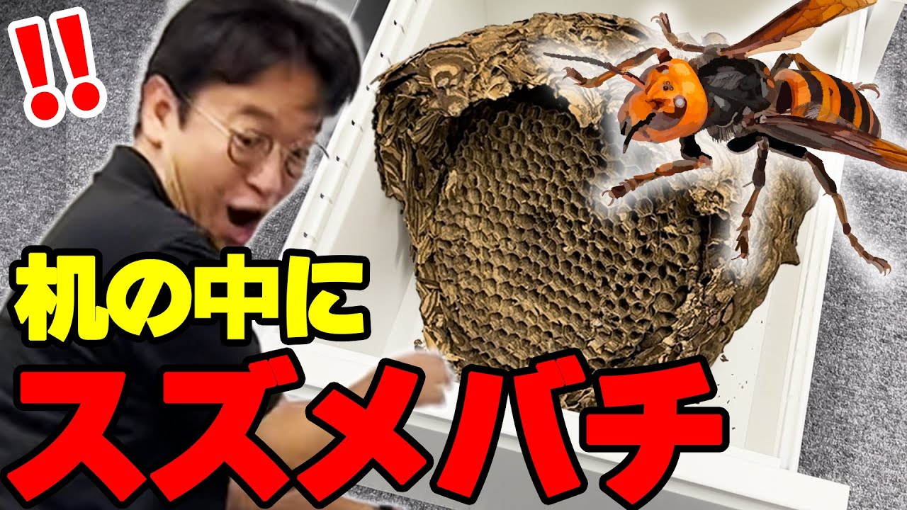 社長にドッキリ】スズメバチの巣を社長のデスクに仕掛けるwww - YouTube