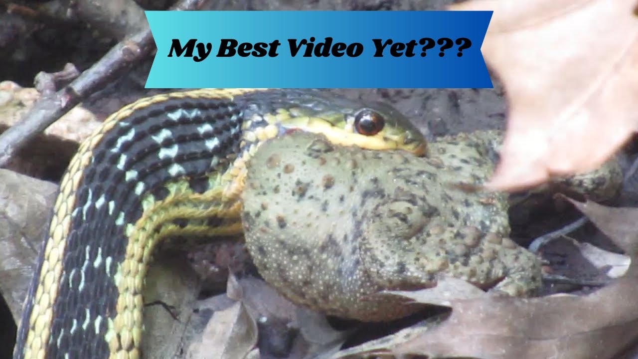 My Best Video Yet???