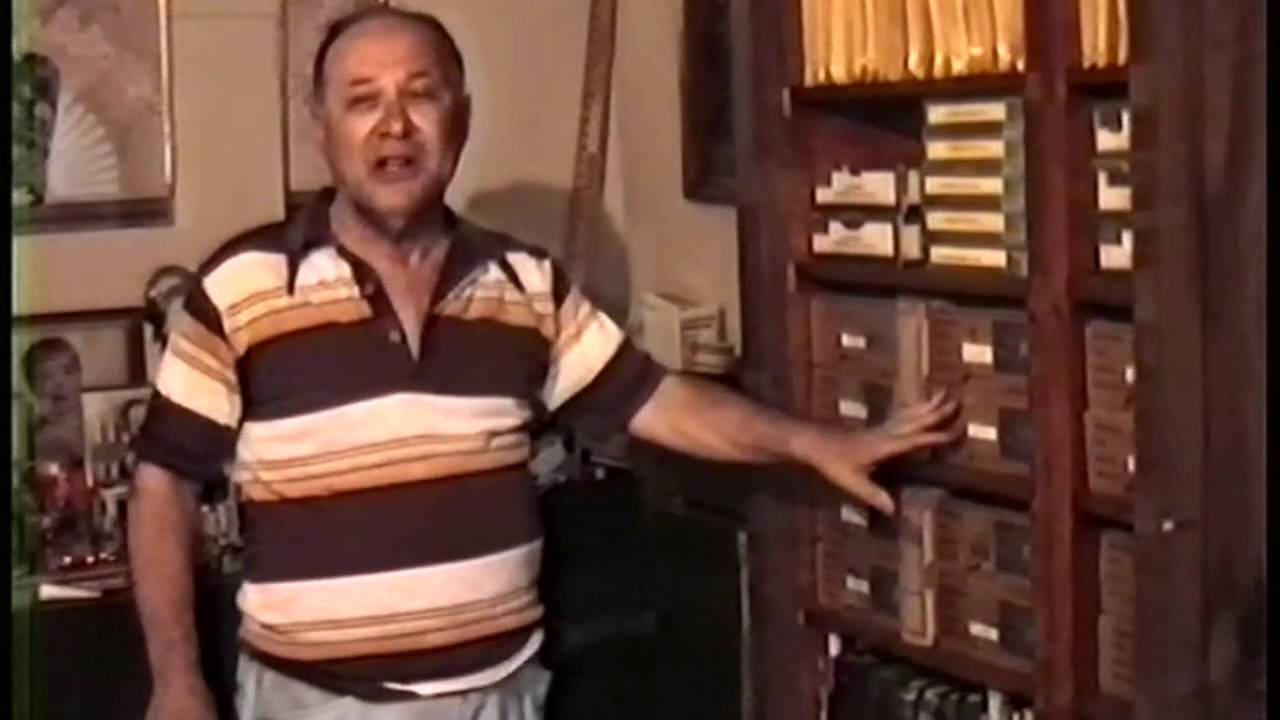 My Pomonok Growing Up in a Queens NY Housing Project YouTube