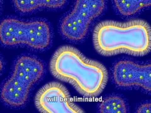 Animation of Antimicrobial Resistance - YouTube