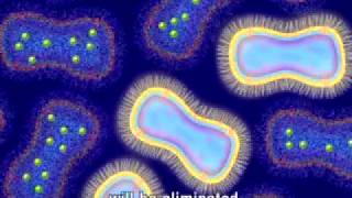 Animation of Antimicrobial Resistance