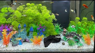 Tetra Aquarium 60 liters with 25 fish