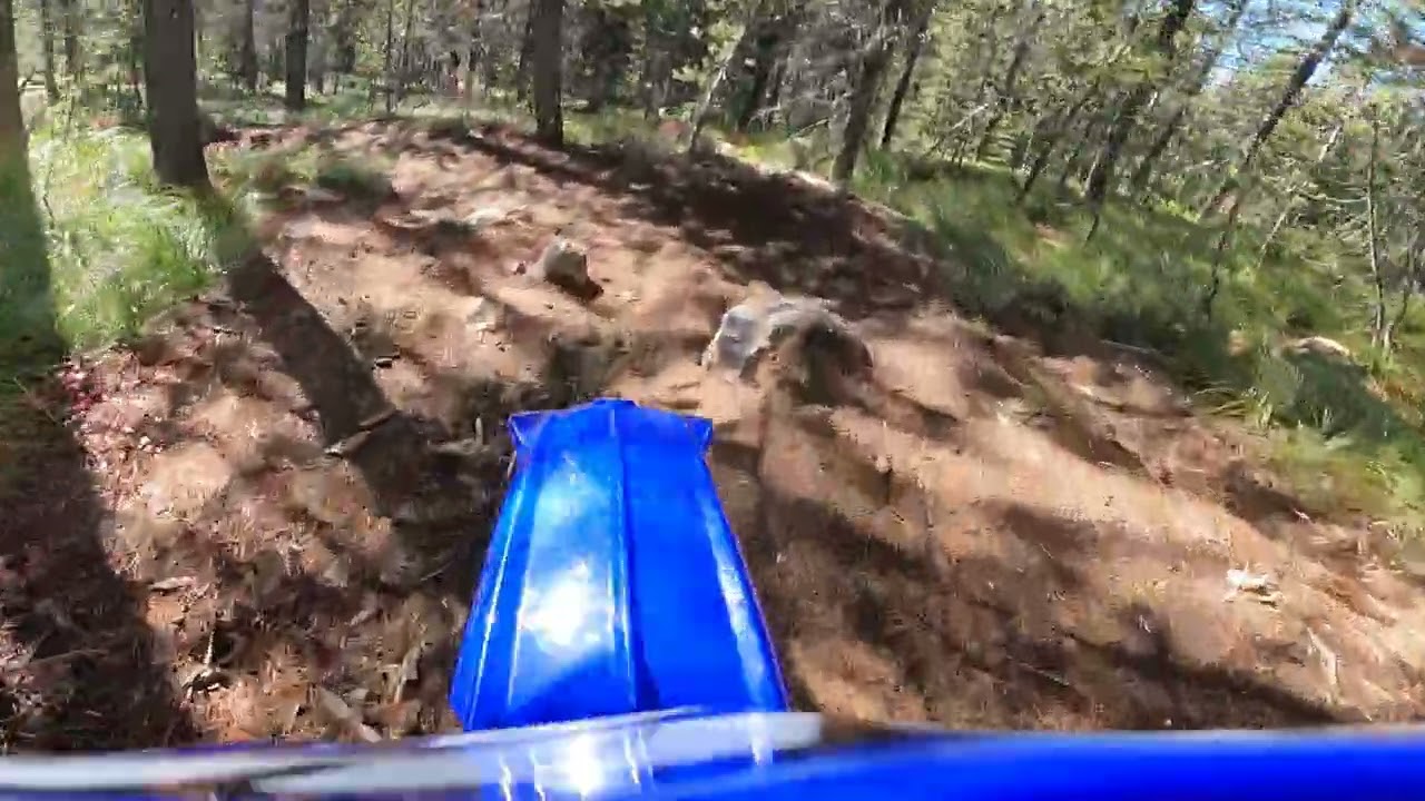 Trail 11 at Santiam Pass OHV