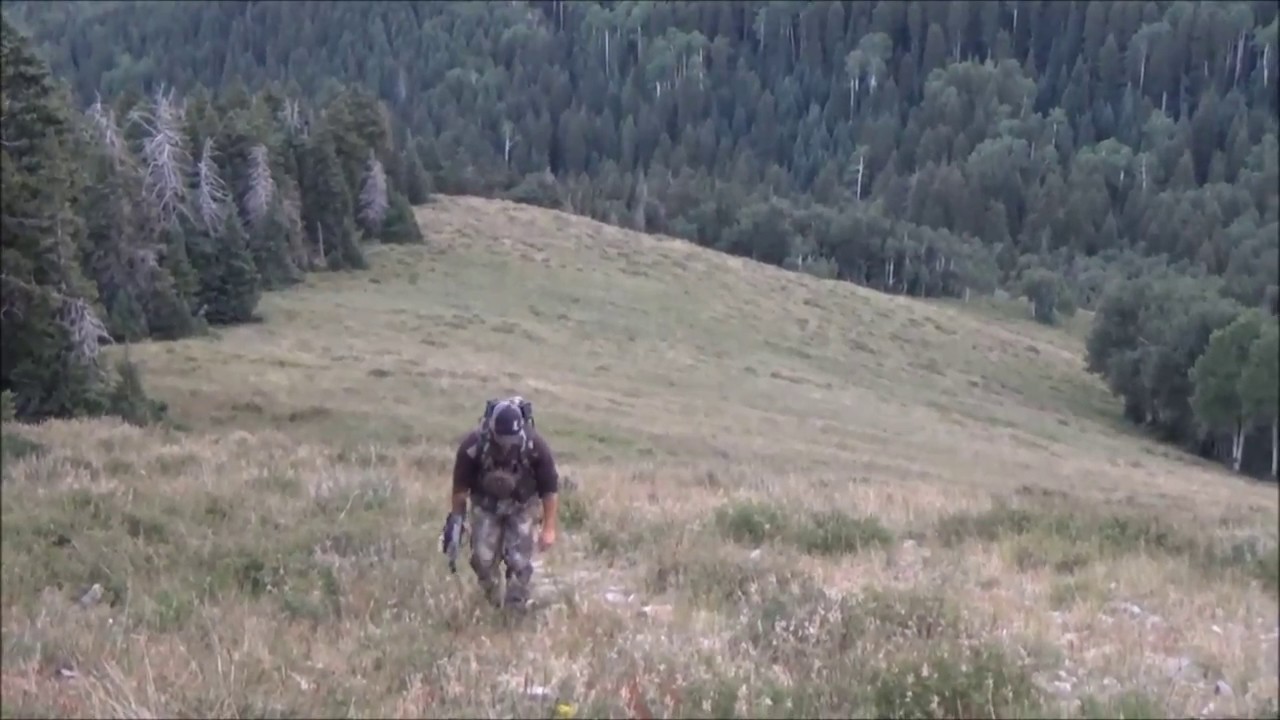 San Juan Elk 2016 Part I- The Beginning