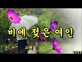 비에 젖은 여인  -  나훈아 Mp3 Song