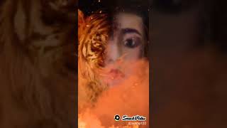 Kidung Wahyu ''macan,,