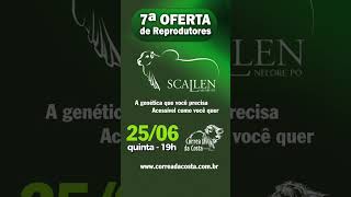 7º NELORE SCALLEN #agro #pecuaria #leilaodegado #leilao
