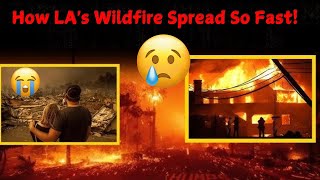 How LA's Wildfire Spread So Fast! The Shocking Truth Revealed