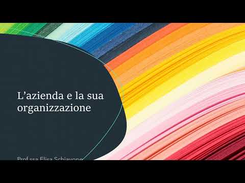 Video: Partecipazione dei dipendenti alla gestione dell'organizzazione: forme, storia della creazione delle organizzazioni e diritti dei lavoratori