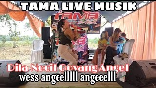 DILA NOCIL ANGEL WESS ANGEL || TAMA LIVE MUSIK