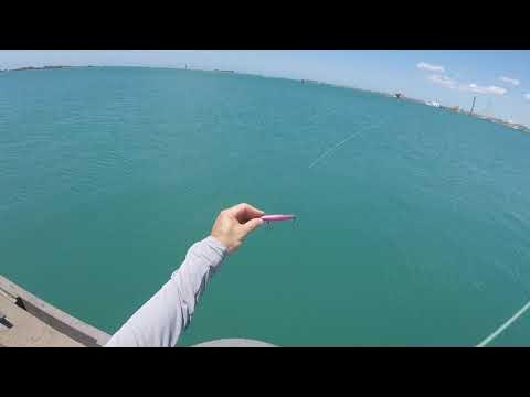 JDM lure swim test : IMA Popkey, Maria Chase SW, Palms GIG 100s and Zetz  F-Lead 90. 