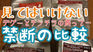チンチラとデグーの餌って…禁断の比較
