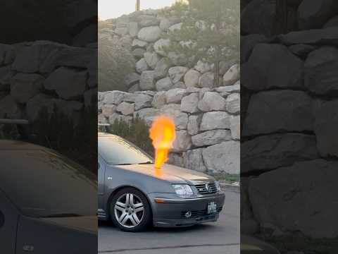 East Coast Auto Concepts Reviews