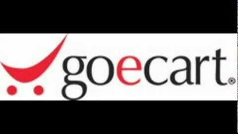 GoECart Ecommerce Solutions: Merchant Interview - Orthotape.com