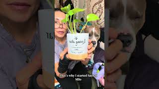 Personalized Memorial Planter for Dogs | A Living Tribute for Milo