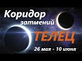 ТЕЛЕЦ♉ КОРИДОР ЗАТМЕНИЙ 🚀 с 26 мая -  по 10 июня 2021👍 расклад на ПРОЗРАЧНОЙ КОЛОДЕ таро ! 🕑