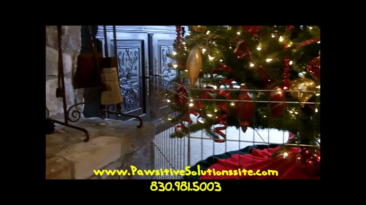 Christmas Safety Tips For Your Dog ~ By San Antonio Dog Trainer sitter italia