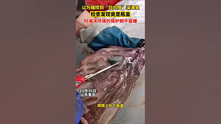 以爲捕撈到「白內障」深海魚，檢查過後發現竟是魚眼睛上扣著一個瓶蓋！漁民：經常在魚肚裡發現塑料。網友：保護海洋環境，刻不容緩！ - 天天要聞