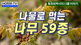 나물로 먹는 나무 59종, HORIMTV