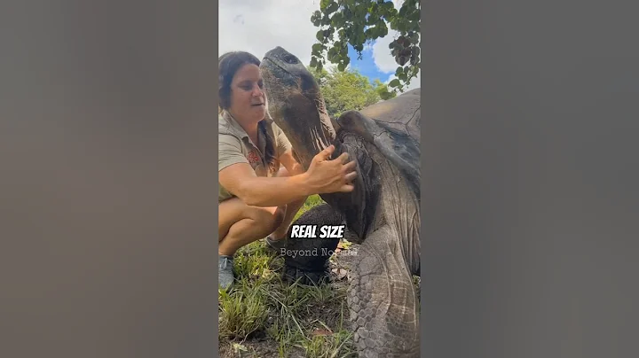 Animal will shock you with thier real size 🤯😱 (pt3)