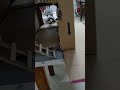 Se escondeu da mamãe!!