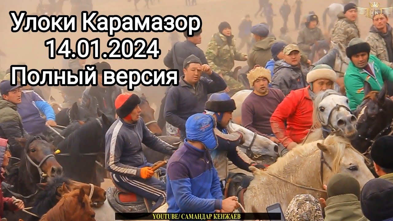 Улоки Карамазор 14.01.2024/Бузкаши kopkari kokboru Самандар Кенжаев