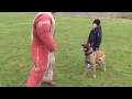 Personal  family protection dog training