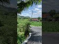 Yogyakarta
