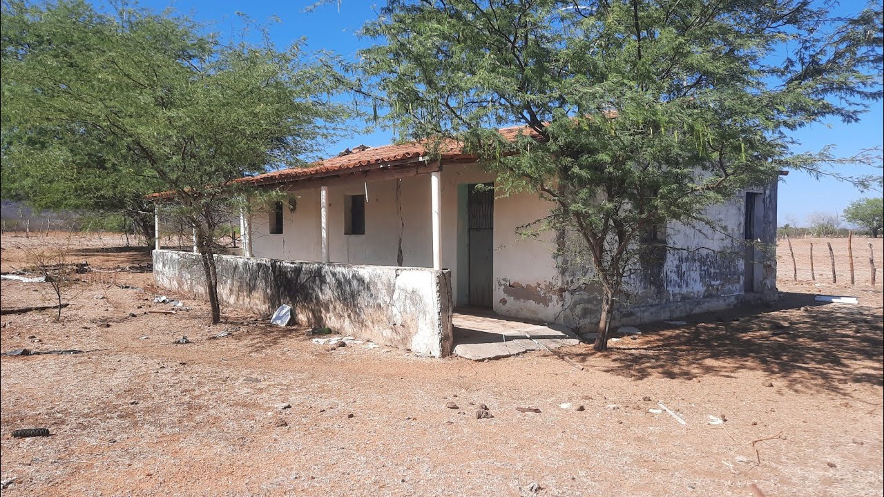 O Povo Está Deixando o Sertão Para Trás