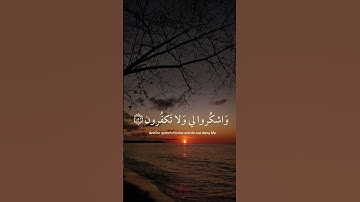 {فَاذْكُرُونِي أَذْكُرْكُمْ وَاشْكُرُوا لِي وَلَا تَكْفُرُونِ } من سورة. البقرة القارئ اسلام صبحي