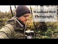 Woodland Bird Photography - Looking for the Treecreeper