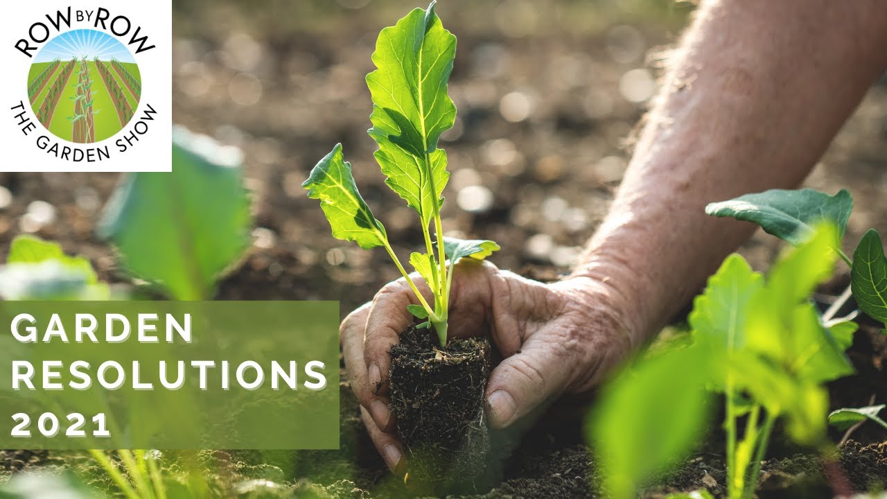 Our 2021 New Year RESOLUTIONS for the VEGETABLE GARDEN - YouTube