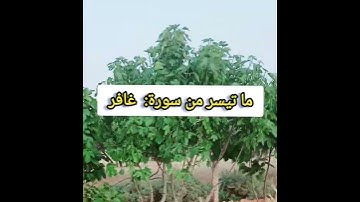 سورة غافر قراءة لشيخ عمر القزابري