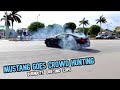 INSANE PULLOUTS & BURNOUTS AT PALM BEACH CARS & COFFEE - MARCH 2020