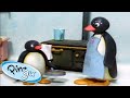 Cooking A Meal With Pingu! | Pingu Official | Cartoons for Kids