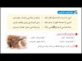 حل انشطة درس أخي للصف الثاني الاعدادي الترم الثاني من كتاب المدرسة 