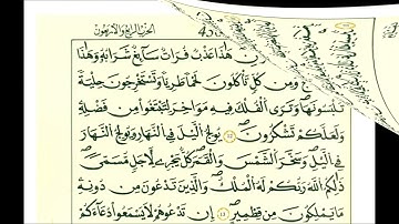 سورة فاطر ثمن [ يٰأيها الناس إن وعد الله حق فلا تغرنكم الحياة الدنيا ولا يغرنكم بالله الغرور ]