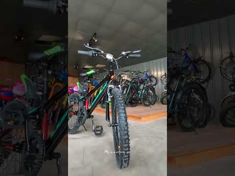 Lumala PLATINA Bicycle Cycle Review