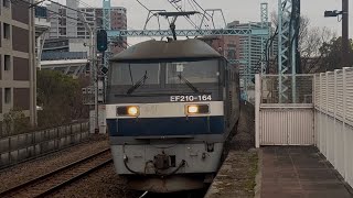 EF210-164号機(新鶴見機関区所属・100番台旧塗装・キャラ桃なし)単機で関内駅を通過するシーン!【8777レ・新A171・単機回送】