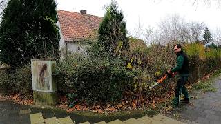 Just Before Christmas I HELPED A FAMILY Transform Their Yard by Kustorez 529,962 views 4 months ago 54 minutes