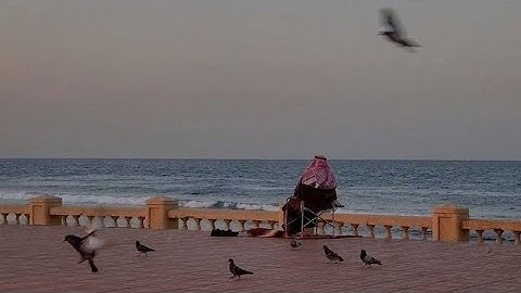 سورة النمل | القارئ فهد واصل المطيري