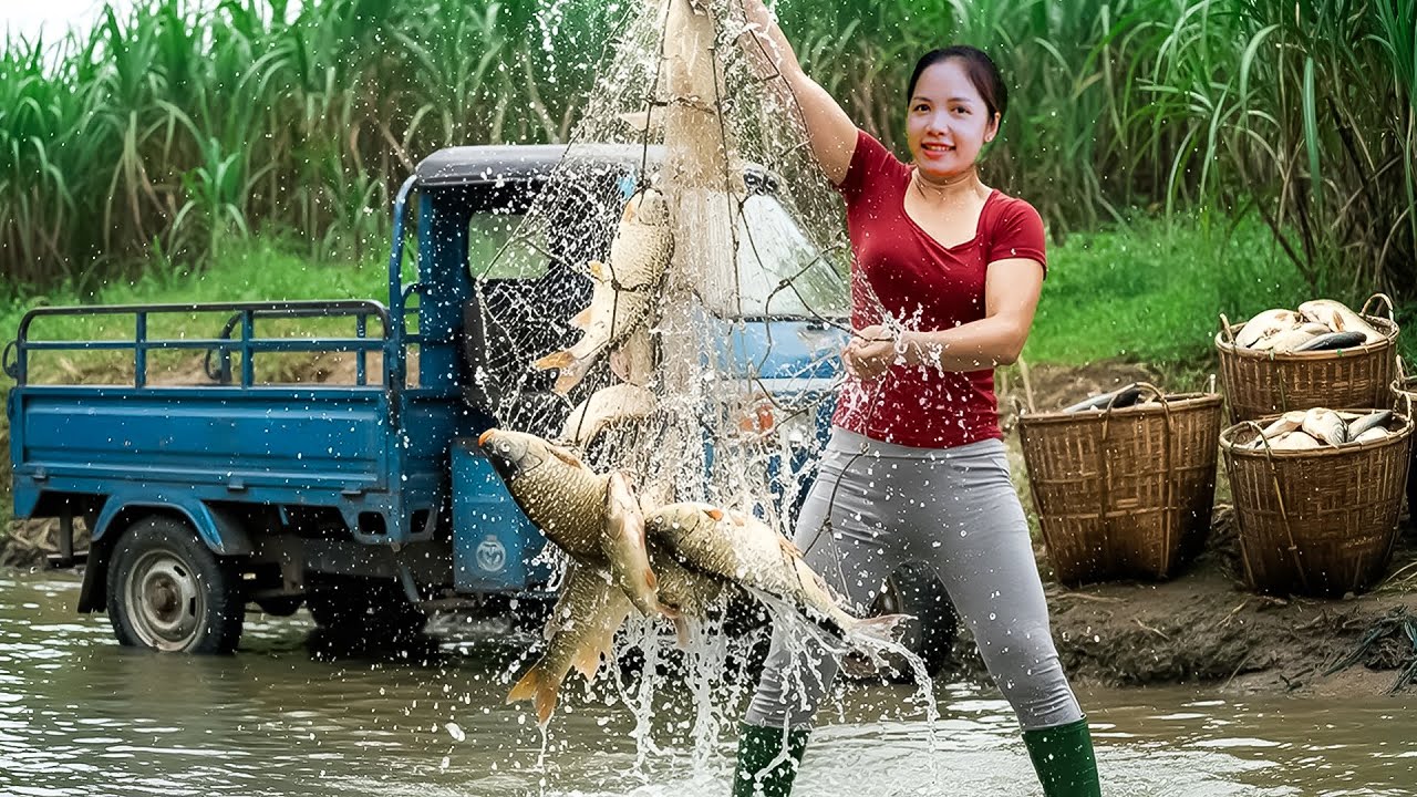 Drag The Net → Catch Thousands of Big Fish in the Lake & 200kg Rock Snails Go To Market Sell