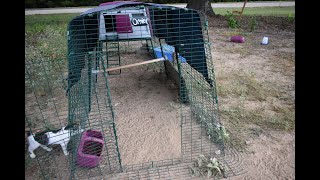 Eglu   Omlet Chicken Coop and Run Review