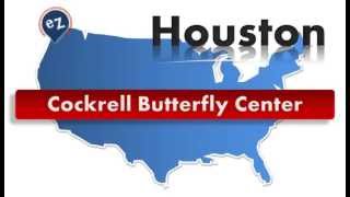 Houston - Cockrell Butterfly Center - Web