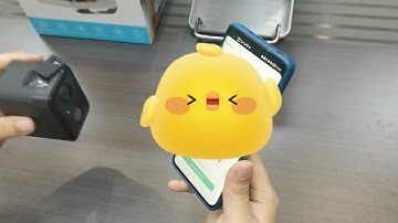 How to connect the bird feeder with camera